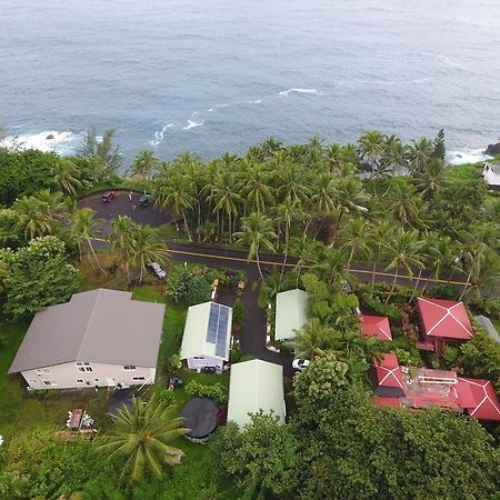 Oceanfront Cottage Near The Kalapana Lava Flows Kehena Kültér fotó