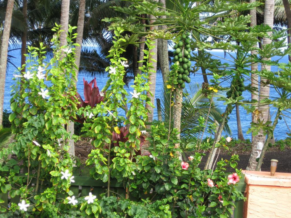 Oceanfront Cottage Near The Kalapana Lava Flows Kehena Szoba fotó
