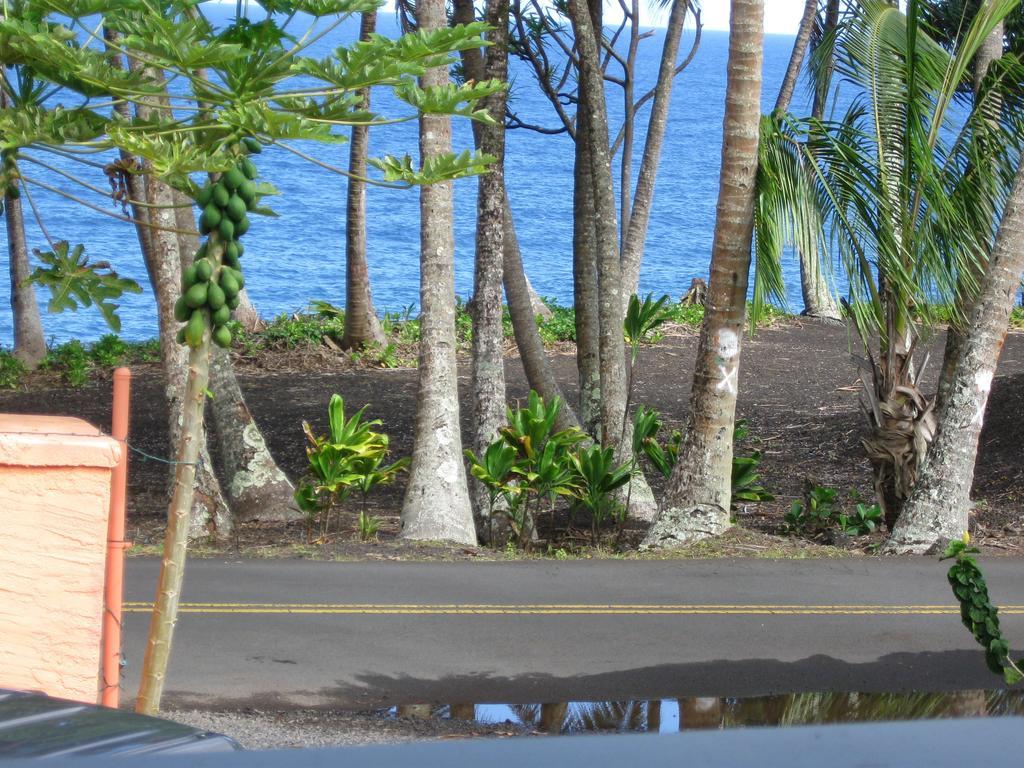 Oceanfront Cottage Near The Kalapana Lava Flows Kehena Szoba fotó