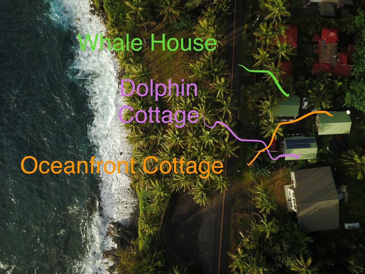Oceanfront Cottage Near The Kalapana Lava Flows Kehena Kültér fotó