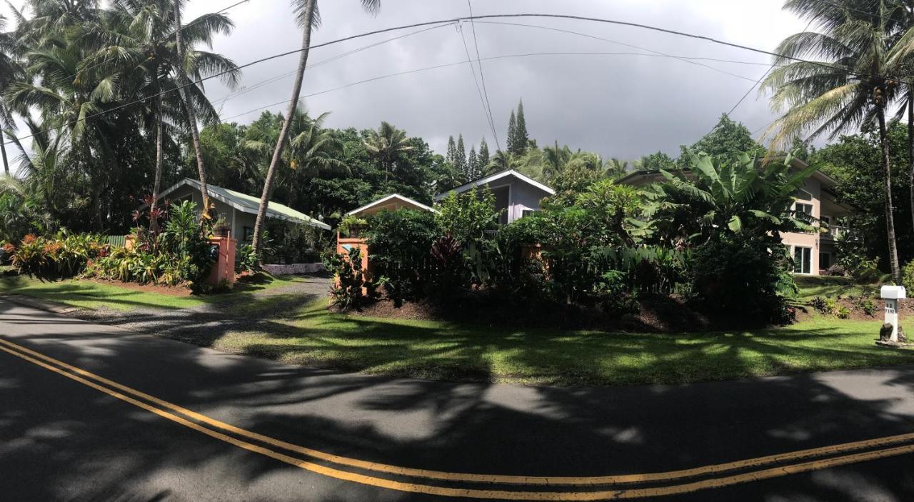 Oceanfront Cottage Near The Kalapana Lava Flows Kehena Kültér fotó